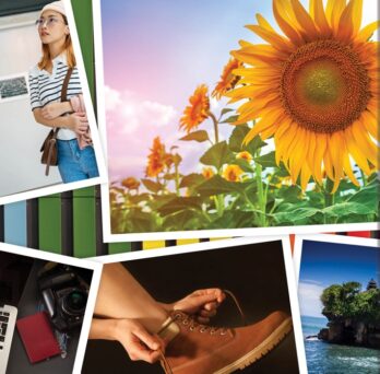 Collage of photos from spring break. Student in a museum,  sunflowers, wearing a hiking boot, working on a laptop.
                  