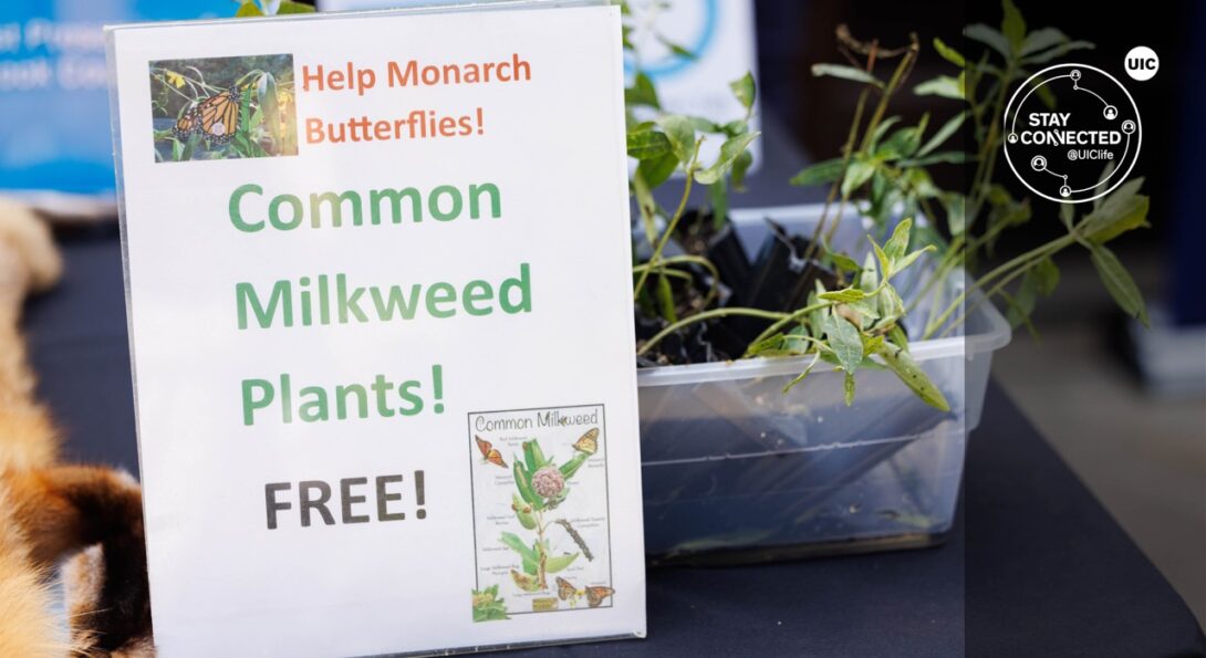 A sign promoting free milkweed plants sits in front of a contain with plants.